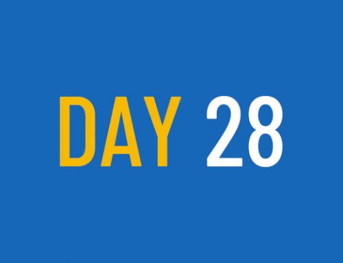 Day 28