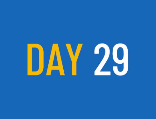 Day 29